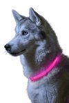 Auraglow Super Bright LED Light Up Dog Collar High Visibility Flashing Safety Pet Leash - PINK