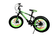 Cosmic FATSO 7 Speed 20 INCH Bicycle - Black/Green