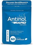 Antinol Rapid for Cats 60 Capsules