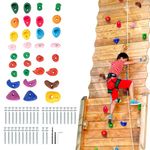 VEVOR 32 Rock Climbing Holds, Multi-Size and Multi-Colored Climbing Rocks for Kids and Adults, Rock Wall Holds with Mounting Hardware, Climbing Wall Grips for Indoor and Outdoor Playground Play Set