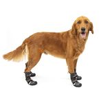 Kurgo Blaze Cross Dog Shoes - Winter Boots for Dogs, All Season Paw Protectors - For Hot Pavement and Snow - Water Resistant, Reflective, No Slip - Includes 2 Shoes - Chili Red/Black - M