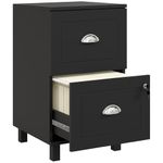 HOMCOM 2 Drawer File Cabinet, Lockable Filing Cabinet with Adjustable Hanging Bars for A4 and Letter for Home Office, Black