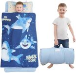 Extra Large Toddler Nap mat by Cokouchyi, Toddler Sleeping Bag with Removable Pillow, Measures 53 x 21 x 1.5 Inches, Sleeping Mat for Boys, Ideal for Daycare and Preschool Kindergarten, Shark Zone