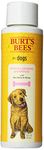 Burt's Bees for Dogs All-Natural Hypoallergenic Shampoo with Shea Butter and Honey | Best Anti-Itch Hypoallergenic Shampoo for All Dogs and Puppies with Dry Skin
