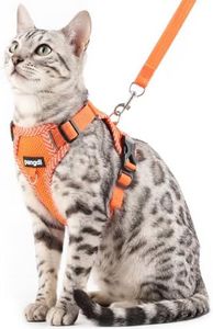 pangdi Cat Harness and Leash Escape Proof Large Kitten Harness Ragdoll Cat Vest for Walking Travel, Orange, L
