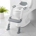 Potty Training Seat with Step Stool