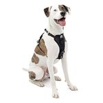 Kurgo Enhanced Strength Tru-Fit Dog Car Harness, Crash Tested, Steel Nesting Buckles, Includes Seatbelt Tether, Medium-Black