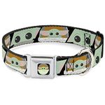 Buckle-Down Dog Collar Seatbelt Buckle Star Wars The Child Chibi Face Blocks Black 18 to 32 Inches 1.5 Inch Wide, (DC-SB-SWBGB-WSW185-1.5-L)