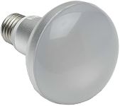 HPM Replacement Centre Light