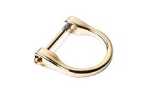 Bobeey 4pcs 1 inch D-Rings Horseshoe Shape D Ring,U Shape D Rings,Screw in Shackle Horseshoe Shape D Ring DIY Leather Craft Purse Keychain Accessories BBC6 (1'', Light Gold)