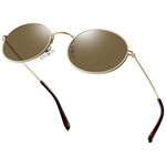 Joopin Retro Oval Sunglasses Small Round Gold Metal Frame Tea Shadow 90s Style Glasses for Men Women Polarised UV400 Protection Lenses