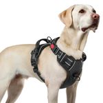 rabbitgoo Dog Harnesses for Large Dogs, No Pull Pet Harness with 3 Buckles, Adjustable Soft Padded Vest with Instant Control Handle, Easy Walking Reflective Pet Vest, Black, L