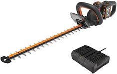Worx WG286E 40V 61cm Cordless Brush