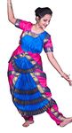 Bharatanatyam Costume Made in India(Plastic)