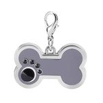 Pssopp Pet ID Tags, Alloy Personalized Dog Tags Cat Tags Blanks Tags Dog Bone Charm Pet Pendant for DIY Necklace Making (Grey)