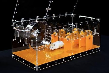 GuineaLoft™ Acrylic Cage (Model-P3) - Small 2x1 ft Enclosed Cage w/Lid & Bottom for Hamsters, Rats, Mice, Gerbils, Connectable, DIY Extendable - Visit The Guinea Loft Store to See It All