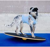 FitPAWS® Dog Training Wobble Board 36"