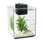 Hagen Fluval Chi Ii Aquarium Set, 19 Litre