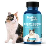 Antihistamine For Cats