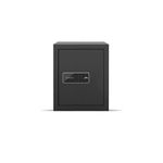 Godrej Security Solutions Godrej Nx Pro Digital (40L) Ebony Home Locker, Brown