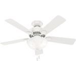 Hunter Led Ceiling Fan