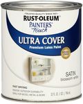 Rust-Oleum 267330 Painter's Touch L