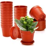 ZOOFOX 20 Pack Plastic Plant Pots, 4 Inch Nursery Pot Flower Pots with Drainage Hole and Tray, Plastic Plant Container for House Plants, Seedlings, Vegetables and Succulents