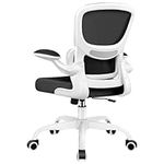 Razzor Office Chair, Ergonomic Desk