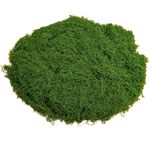 Fake Moss 50g Plastic Artificial Moss Realistic Looking Faux Moss Nutural Fake Green Lichen Plants for Plant Pot Crafting Garden Patio Decoration Dark Green Floral Moss