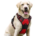 rabbitgoo Dog Harness, No-Pull Pet Harness with 2 Leash Clips, Adjustable Soft Padded Vest, Reflective No-Choke Pet Oxford Vest with Easy Control Handle for Large Dogs, Red, L