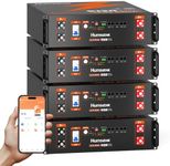 HumsiENK 48V 100Ah LiFePO4 Lithium