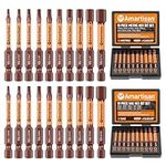 Amartisan 20-Piece Hex Head Allen Wrench Drill Bit Set, Metric and SAE S2 Steel Hex Bits Set, Magnetic Tips, 2.3" Long With Storage box