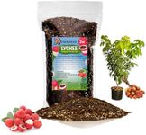 Gardenera Expertly Formulated Lychee Potting Soil Mix - Optimal Nutrient-Rich Blend for Thriving and Juicy Lychee Trees - 2 QUARTS