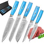 5 PCS Knife Set, Damascus Chef's Knife Set, 67 Layers of VG-10 Damascus Steel, Professional Damascus Kitchen Knife Set Ergonomic Natural Resin Handle, Gift Box