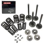 JINFANNIBI Cylinder Head Intake and Exhaust Valve Seal Spring Kit Compatible for XR650 XR600 XR650L XR600R NX650 1988-2020 14711-MG3-000 14721-MG3-000 14751-MG3-003 14761-MG3-003 14771-MK4-860