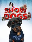 Show Dogs