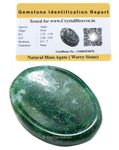 Certified Moss Agate Crystal Thumb Worry Pebbles Stones for Anxiety Stress Relief Massage - AAA Grade Original Healing Gemstone Agate Rubbing Stone for Yoga Meditation Spiritual Reiki Feng Shui