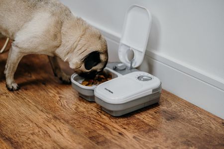 Cat Mate Automatic Pet Feeder – C200 Dual Meal Timer
