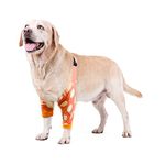 Harikaji Dog Elbow Protector, Elbow Sleeves with Mesh Pad for Medium Large Dogs Prevent Licking Wound(Lemon,L)