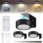 Lightsjoy 3 Pack Picture Lights for Wall Battery Operated 3 Colors Rechargeable Picture Light Wireless Picture Frame Light Dimmable and Timer Art Lights for Painting Remote Control Wall Lights, Black