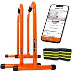 Lebert Fitness Equalizer with Resistance Band - Calisthenics Equipment ✓ Dip Station ✓ Push Up Stand Bar ✓ Pull Up Dip Bar ✓ Bodyweight Equipment ✓ For Intensive Use