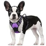 rabbitgoo Dog Harness, No-Pull Pet 