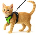 Buraq No Pull Cat Harness with Leash, Escape Proof, Ultra-Light Weight, Air Mesh Fabric, Aesthetic Design Adjustable Cat Leash with Harness (XXS - Green)