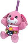 VTech Baby 502353 Little Singing Puppy, Pink