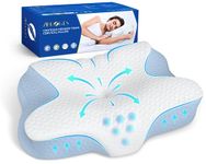 Foam Pillow With Comforts