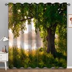 Aimego Tree Blackout Curtains Green Jungle Trees Nature Landscape Window Drapes Decor for Bedroom Living Room Grommet Top Room Darkening Curtains 2 Panel Set, 52"X63"