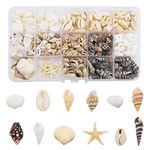 400pcs+ Mixed Sea Shells Starfish Beach Seashells for Ocean Theme Party Wedding Decorations DIY Crafts Candle Making Fish Tank Vase Fillers Home Decor Supplies