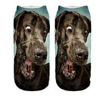 Ferocity Funny Low Ankle Socks Men's Women's Boys Girls 3D Printed Unisex Brown Dog [001]
