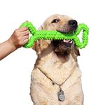 Strongest Chew Toy For Dogs