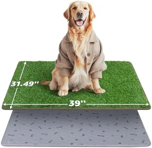 Dog Grass 